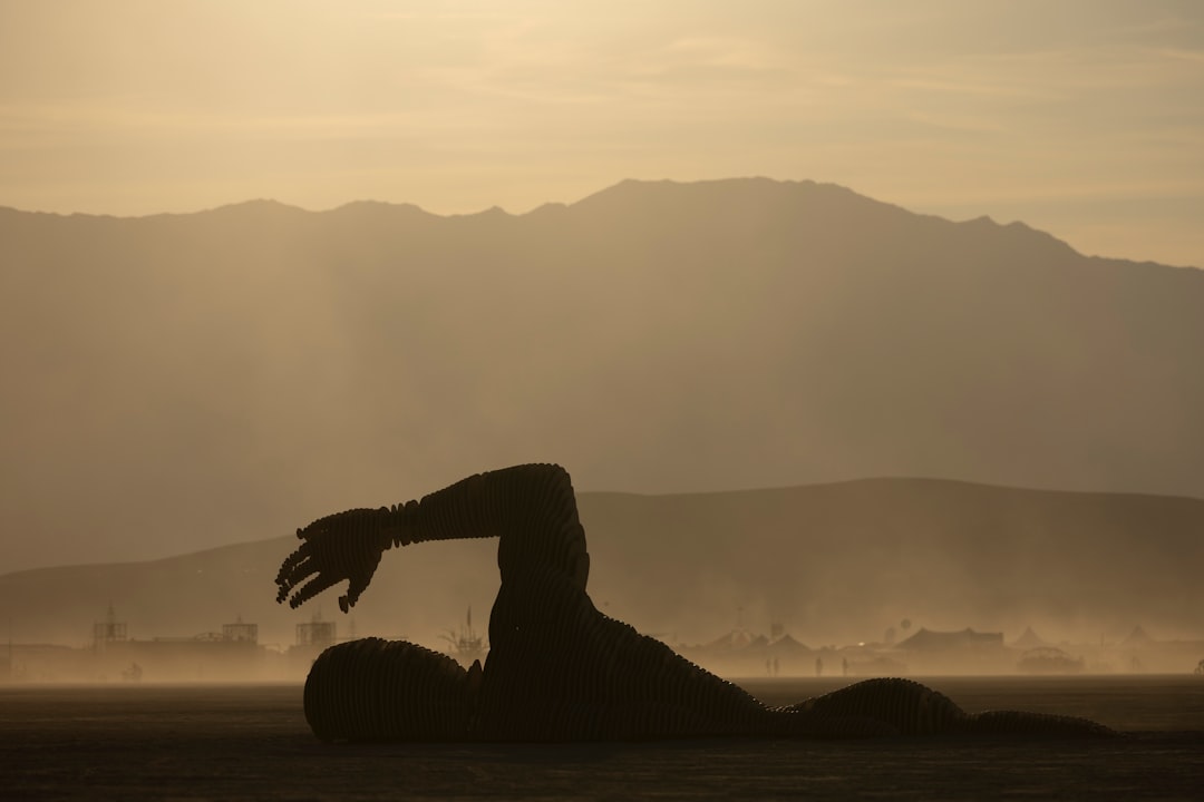 Enhance Curb Appeal with Beautifully Installed Landscapes